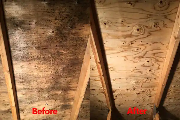 water damage restoration service Papillion